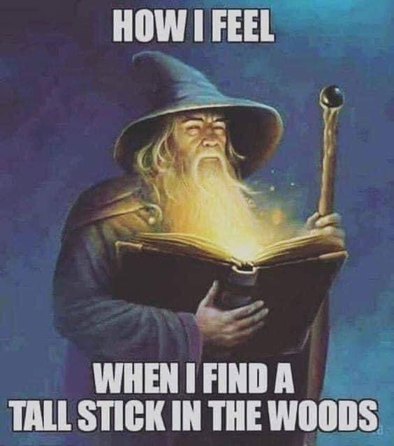 album cover - How I Feel When I Find A Tall Stick In The Woods