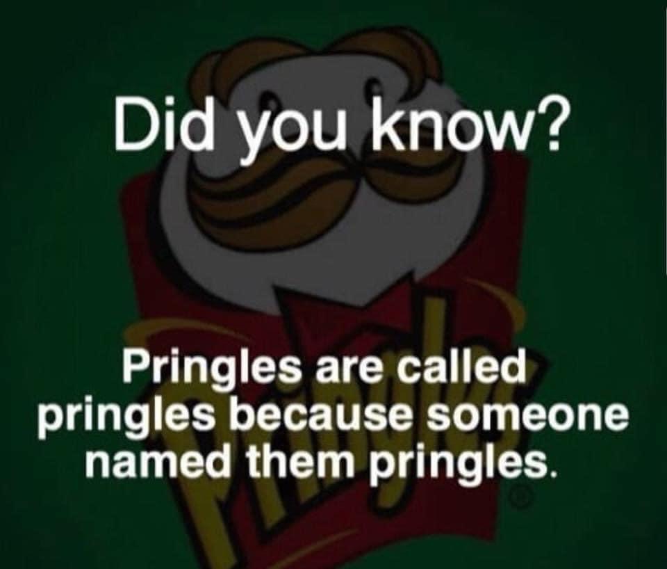 cartoon - Did you know? Pringles are called pringles because someone named them pringles.