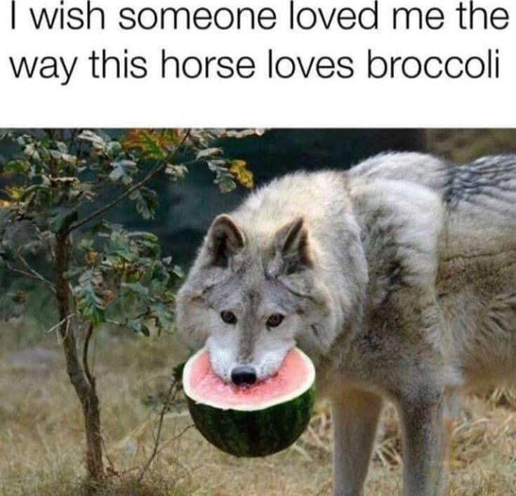wish someone loved me as much - I wish someone loved me the way this horse loves broccoli