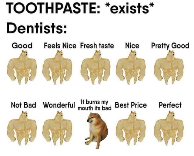 human - Toothpaste exists Dentists Good Feels Nice Fresh taste Nice Pretty Good Not Bad Wonderful molt ben is my Best Price Perfect