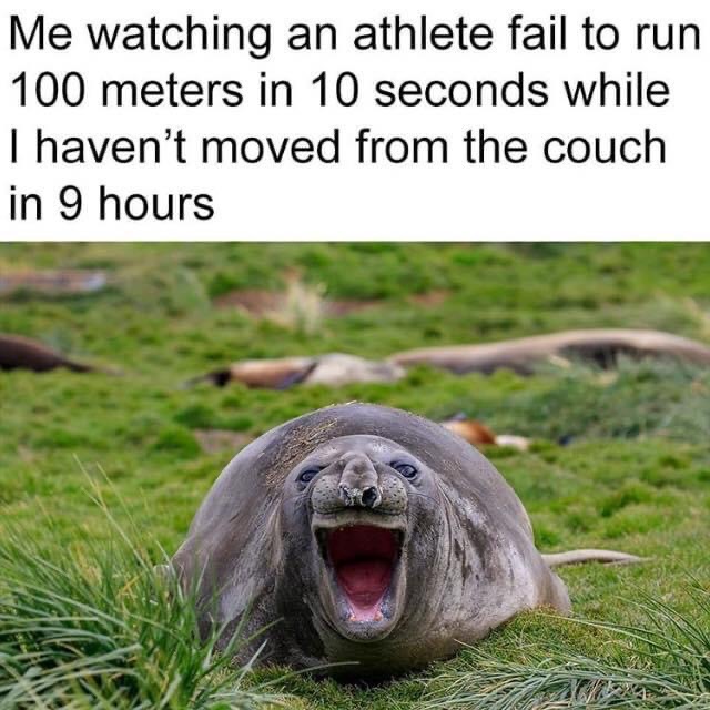 comedy wildlife photography awards - Me watching an athlete fail to run 100 meters in 10 seconds while I haven't moved from the couch in 9 hours