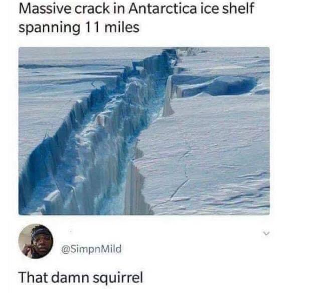 damn squirrel - Massive crack in Antarctica ice shelf spanning 11 miles Mild That damn squirrel