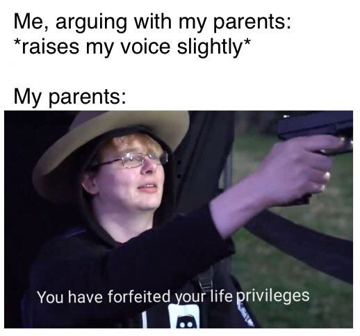 you have forfeited your life privileges meme - Me, arguing with my parents raises my voice slightly My parents You have forfeited your life privileges