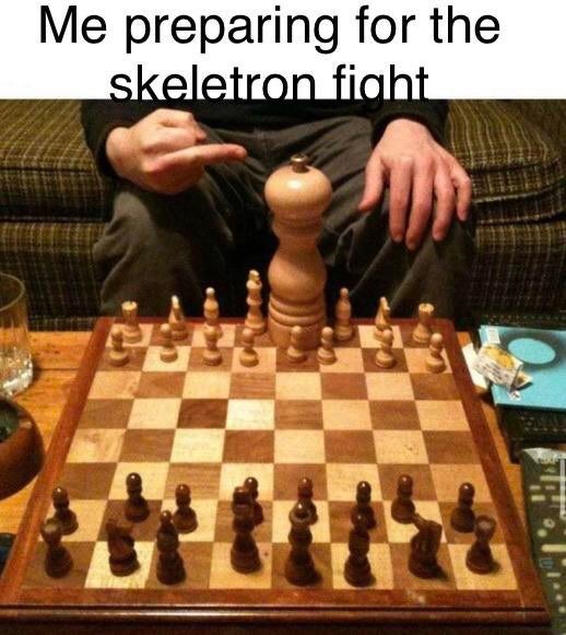queen elizabeth chess memes - Me preparing for the skeletron fight