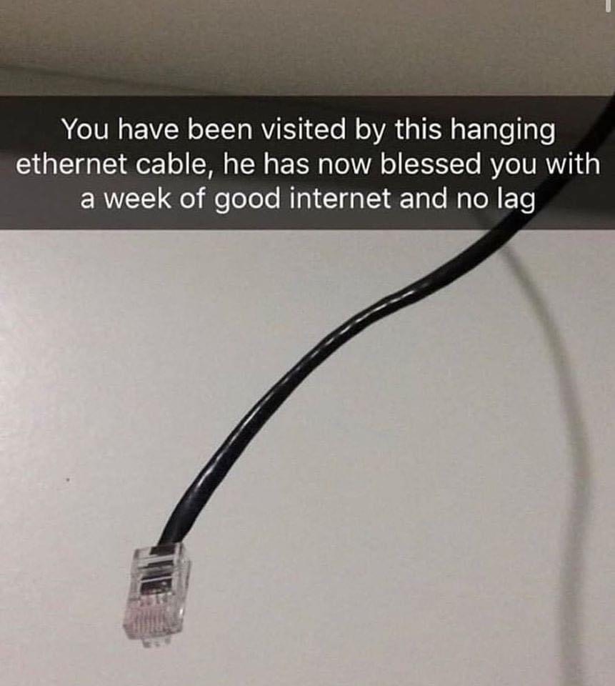 blessed ethernet cable meme - You have been visited by this hanging ethernet cable, he has now blessed you with a week of good internet and no lag