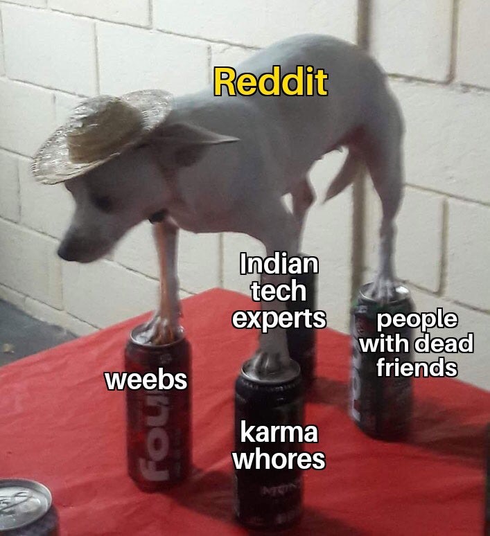 two identical rocks jojo - Reddit Indian tech experts people with dead friends weebs fou karma whores