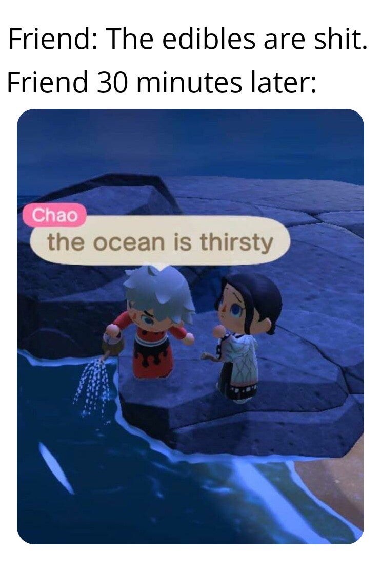 animal crossing memes - Friend The edibles are shit. Friend 30 minutes later Chao the ocean is thirsty