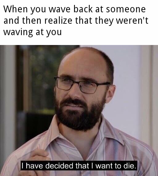 have decided that i want to die meme - When you wave back at someone and then realize that they weren't waving at you I have decided that I want to die.