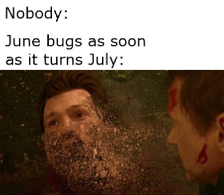 funny memes - dank memes - spiderman thanos snap - Nobody June bugs as soon as it turns July