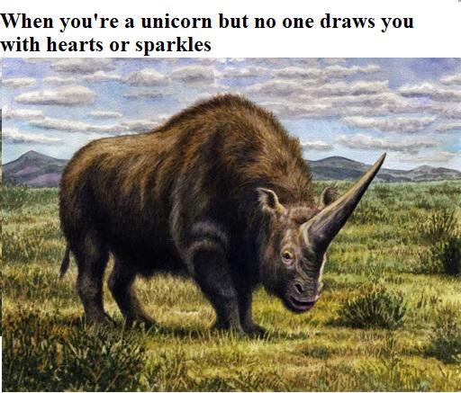 funny memes - dank memes - elasmotherium sibiricum - When you're a unicorn but no one draws you with hearts or sparkles