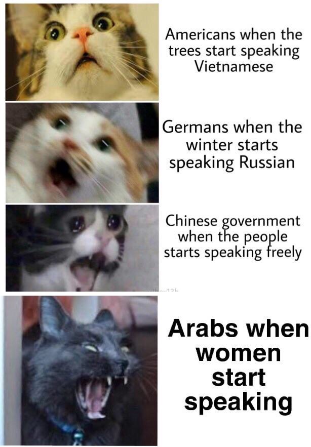 photo caption - Americans when the trees start speaking Vietnamese Germans when the winter starts speaking Russian Chinese government when the people starts speaking freely Arabs when women start speaking