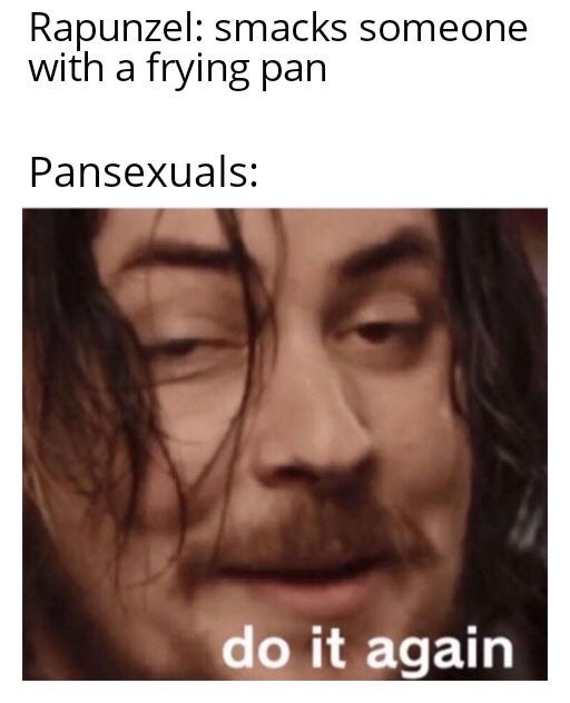 me my brain meme - Rapunzel smacks someone with a frying pan Pansexuals do it again