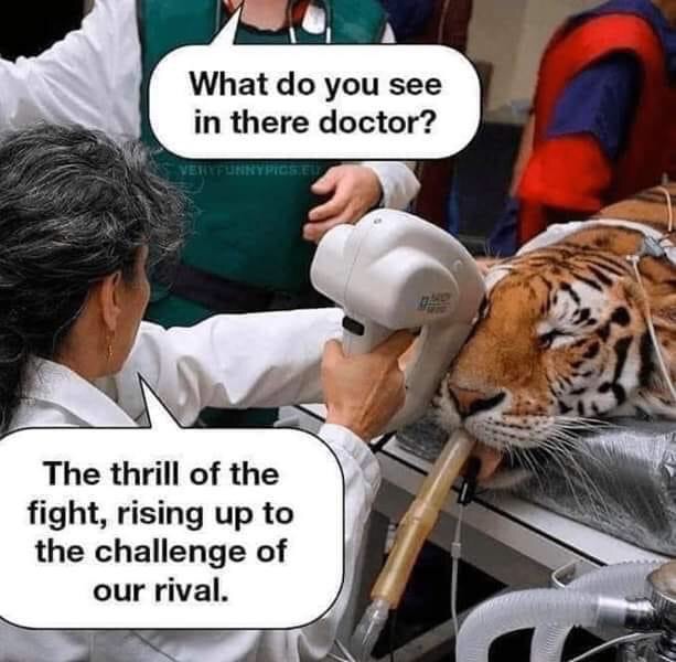 veterinarian jokes - What do you see in there doctor? Nypiose The thrill of the fight, rising up to the challenge of our rival.