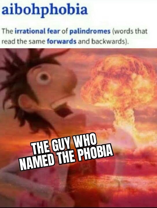flint lockwood meme - aibohphobia The irrational fear of palindromes words that read the same forwards and backwards. The Guy Who Named The Phobia