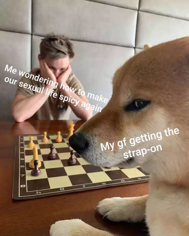 shiba chess - Me wondering how to make our sexual life spicy again My gf getting the strapon 0