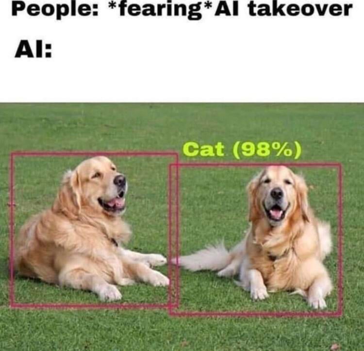 People fearing Al takeover Ai Cat 98%