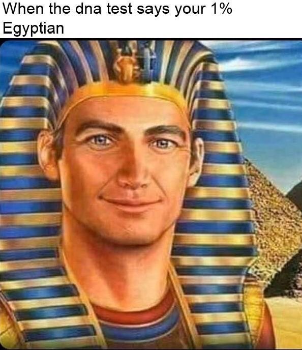 we were kings meme - When the dna test says your 1% Egyptian