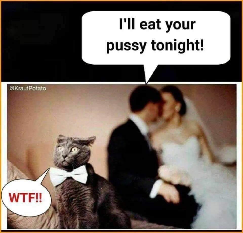 will eat your pussy tonight - I'll eat your pussy tonight! Potato Wtf!!