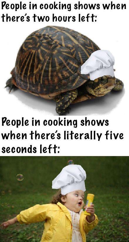 tortoise - People in cooking shows when there's two hours left People in cooking shows when there's literally five seconds left