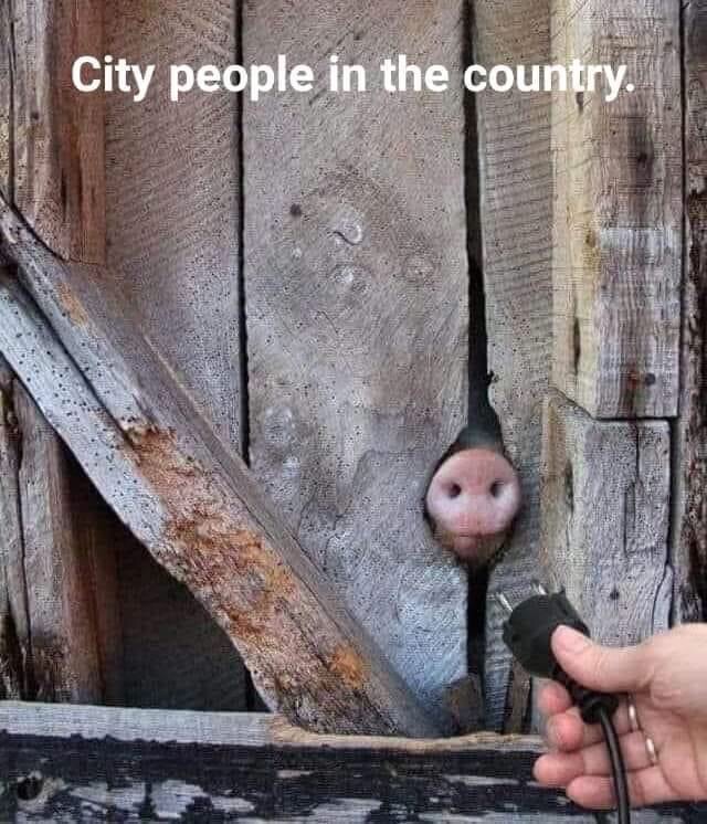 city people in the country - City people in the country.