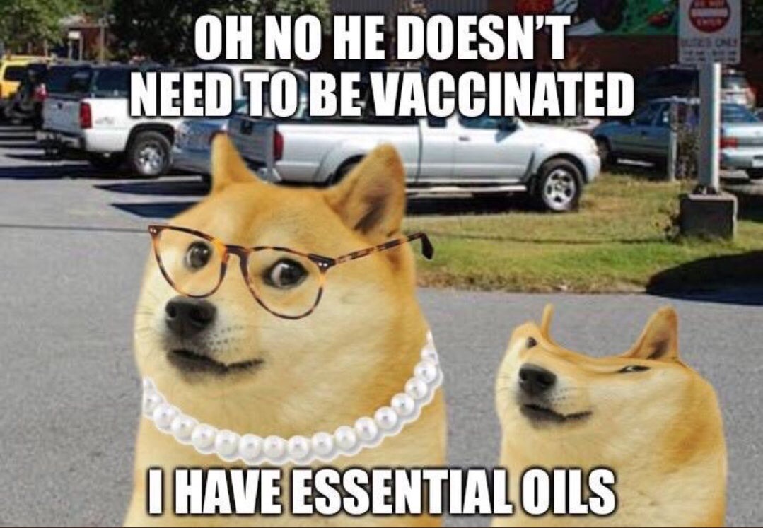anti vax doge - Oh No He Doesn'T Need To Be Vaccinated 20000 20990 I Have Essential Oils