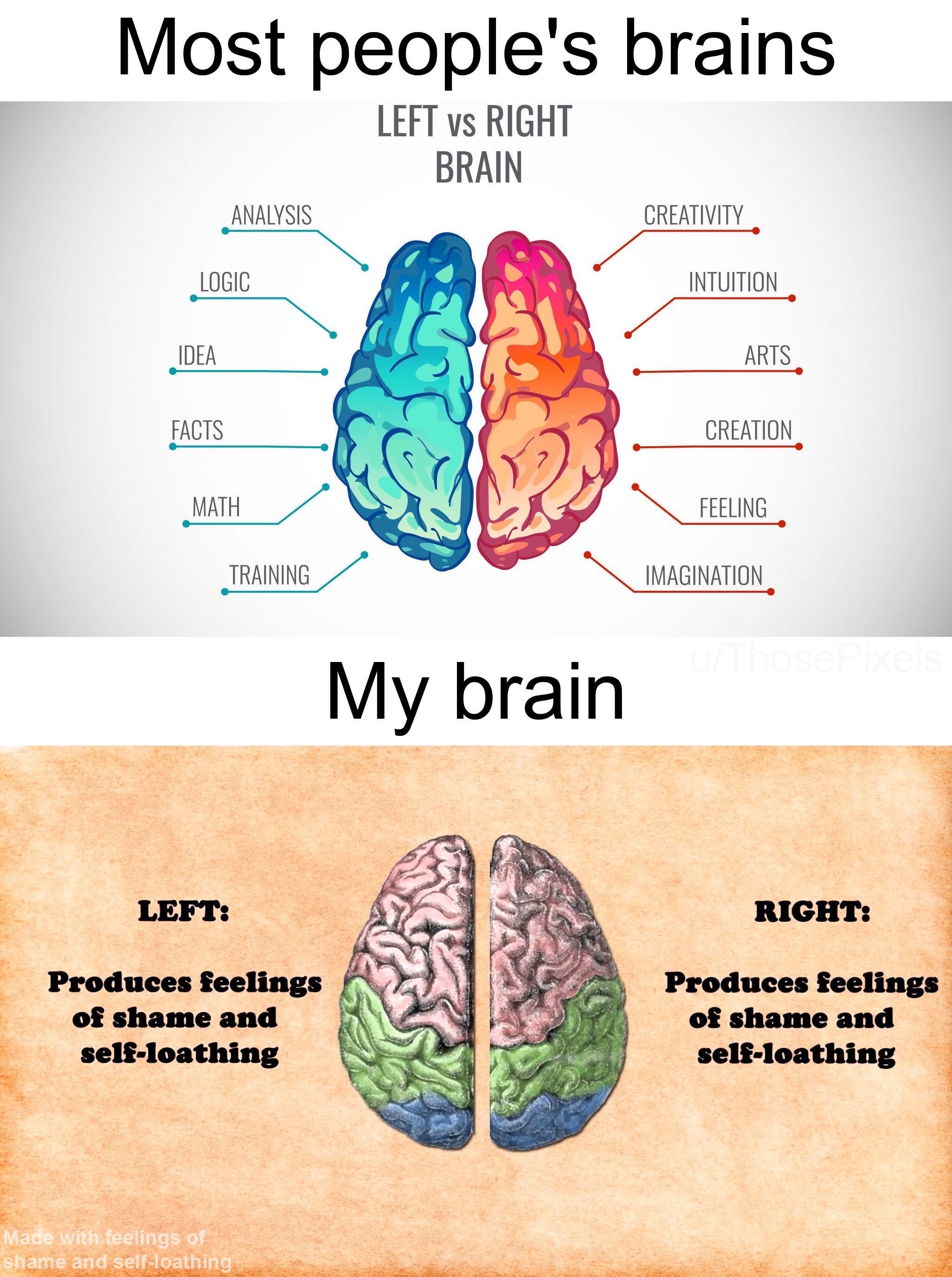 brain science - Most people's brains Left vs Right Brain Analysis Creativity Logic Intuition Idea Arts Facts Creation Math Fefling Training Imagination My brain Left Produces feelings of shame and selfloathing Right Produces feelings of shame and selfloat