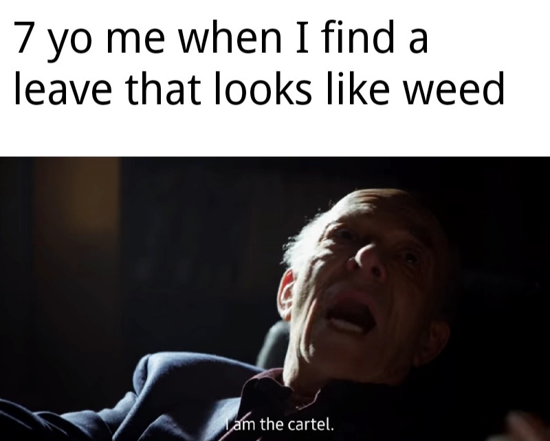 funny memes clean - 7 yo me when I find a leave that looks weed Lam the cartel.
