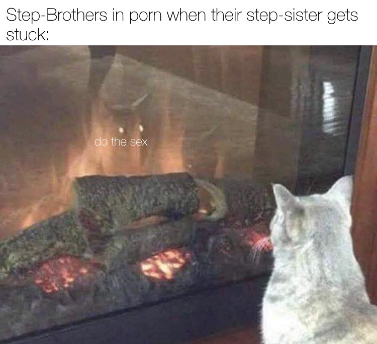bonfire lit meme - StepBrothers in porn when their stepsister gets stuck do the sex
