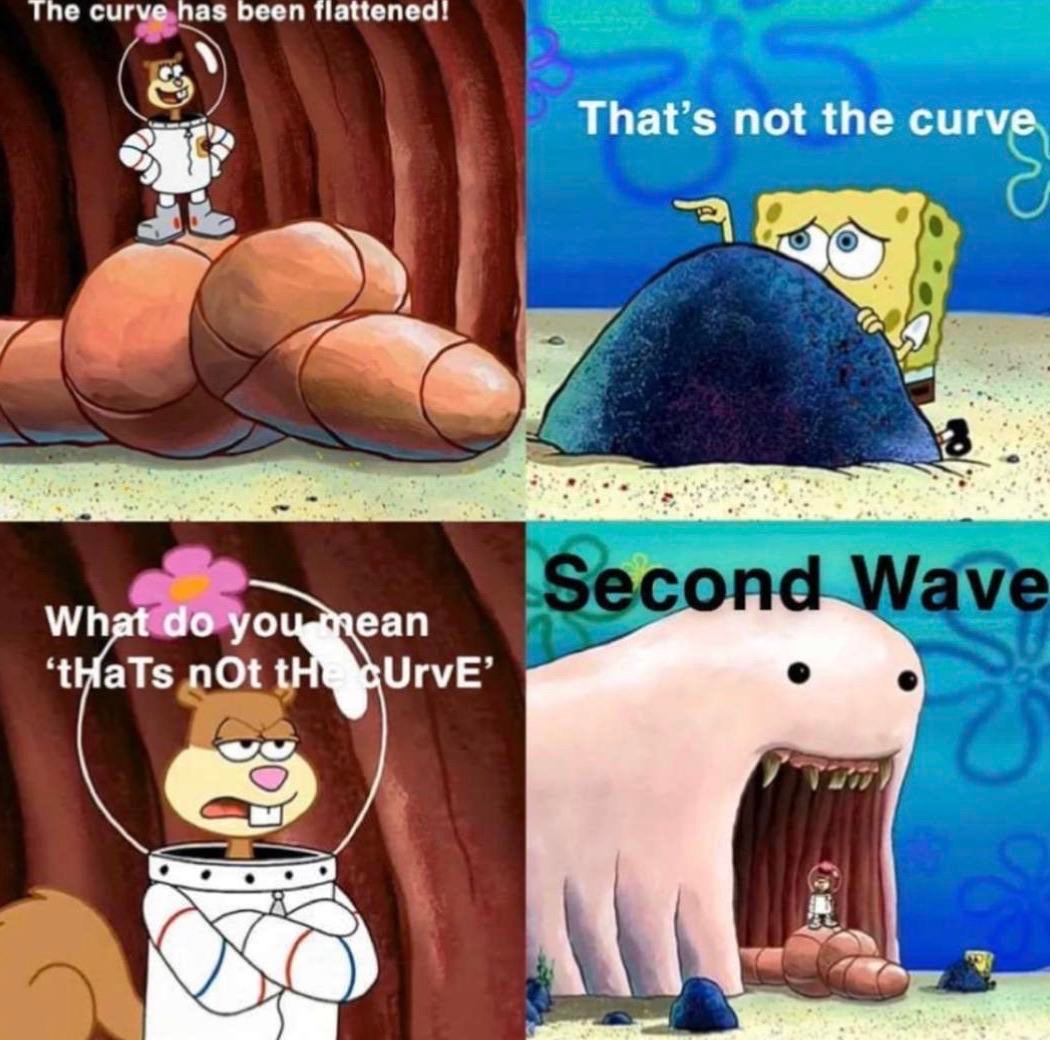 alaskan bull worm meme template - The curve has been flattened! That's not the curve Second Wave What do you mean 'thats not the UrvE'