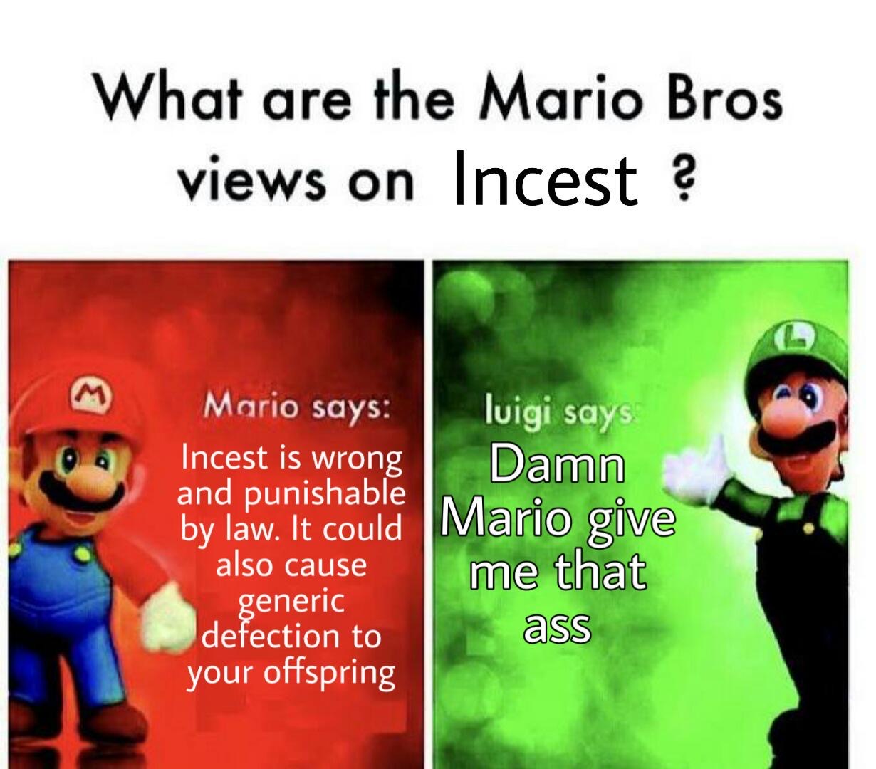 onee san memes - What are the Mario Bros views on Incest ? M Mario says Incest is wrong luigi says Damn also cause and punishable by law. It could Mario give me that generic defection to ass your offspring