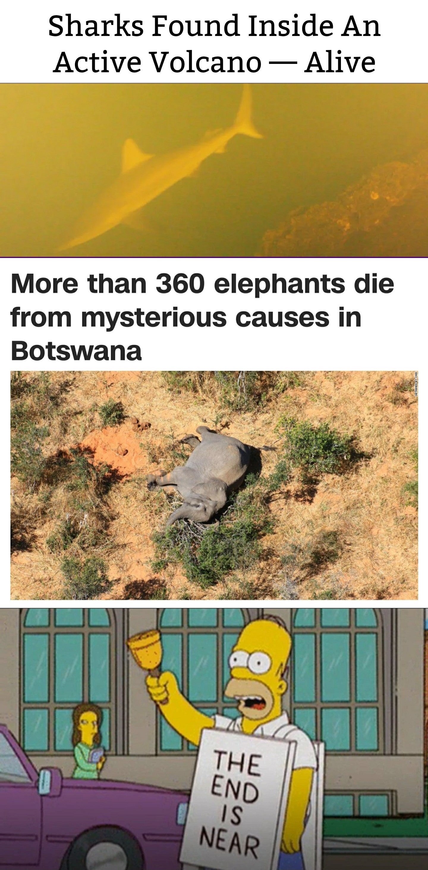 Sharks Found Inside An Active Volcano Alive More than 360 elephants die from mysterious causes in Botswana .. The End Is Near