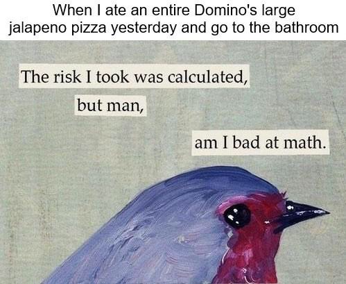 risk i took was calculated - When I ate an entire Domino's large jalapeno pizza yesterday and go to the bathroom The risk I took was calculated, but man, am I bad at math.