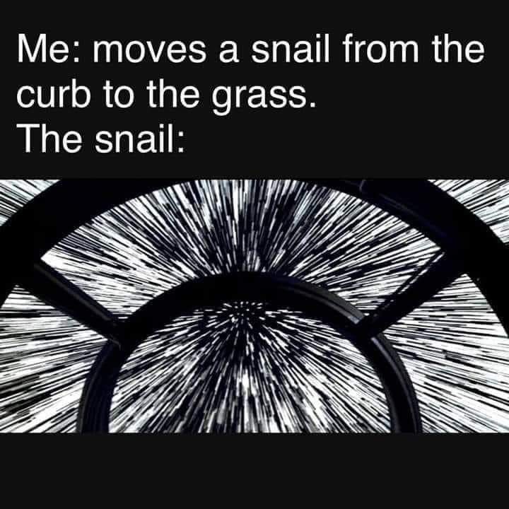 star wars hyper speed - Me moves a snail from the curb to the grass. The snail