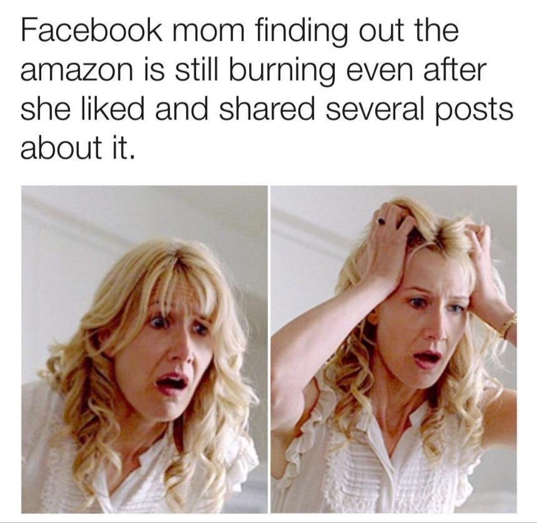 facebook mom meme - Facebook mom finding out the amazon is still burning even after she d and d several posts about it.