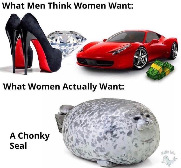 chonky seal plush - What Men Think Women Want What Women Actually Want A Chonky Seal