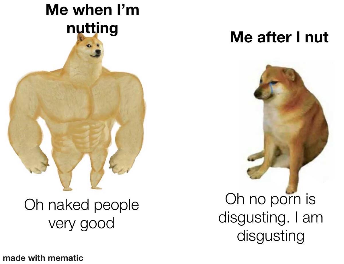 doge then vs now meme - Me when I'm nutting Me after I nut Oh naked people Oh no porn is disgusting. I am disgusting very good made with mematic