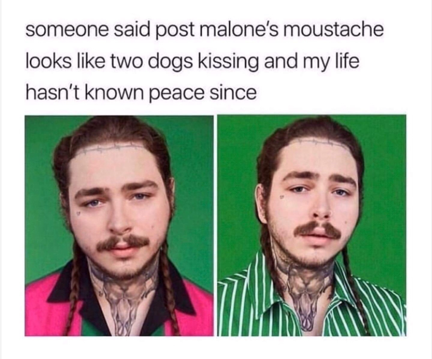 funny memes to post - someone said post malone's moustache looks two dogs kissing and my life hasn't known peace since