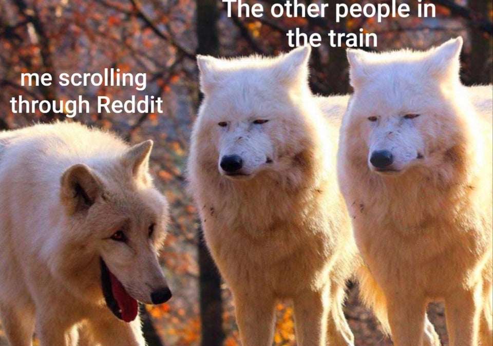 laughing wolves meme canis lupus tundrarum - The other people in the train me scrolling through Reddit
