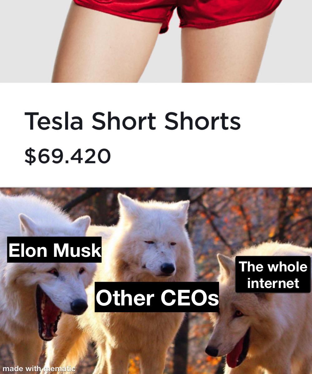 laughing wolves meme dog - Tesla Short Shorts $69.420 Elon Musk The whole internet Other CEOs made with mematic