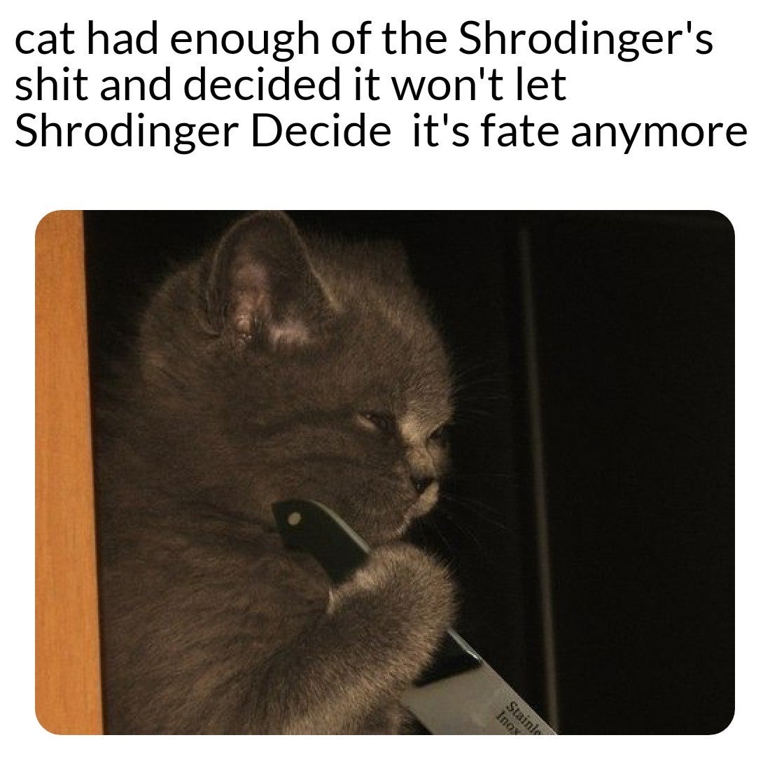 lendingcrowd - cat had enough of the Shrodinger's shit and decided it won't let Shrodinger Decide it's fate anymore Stainly