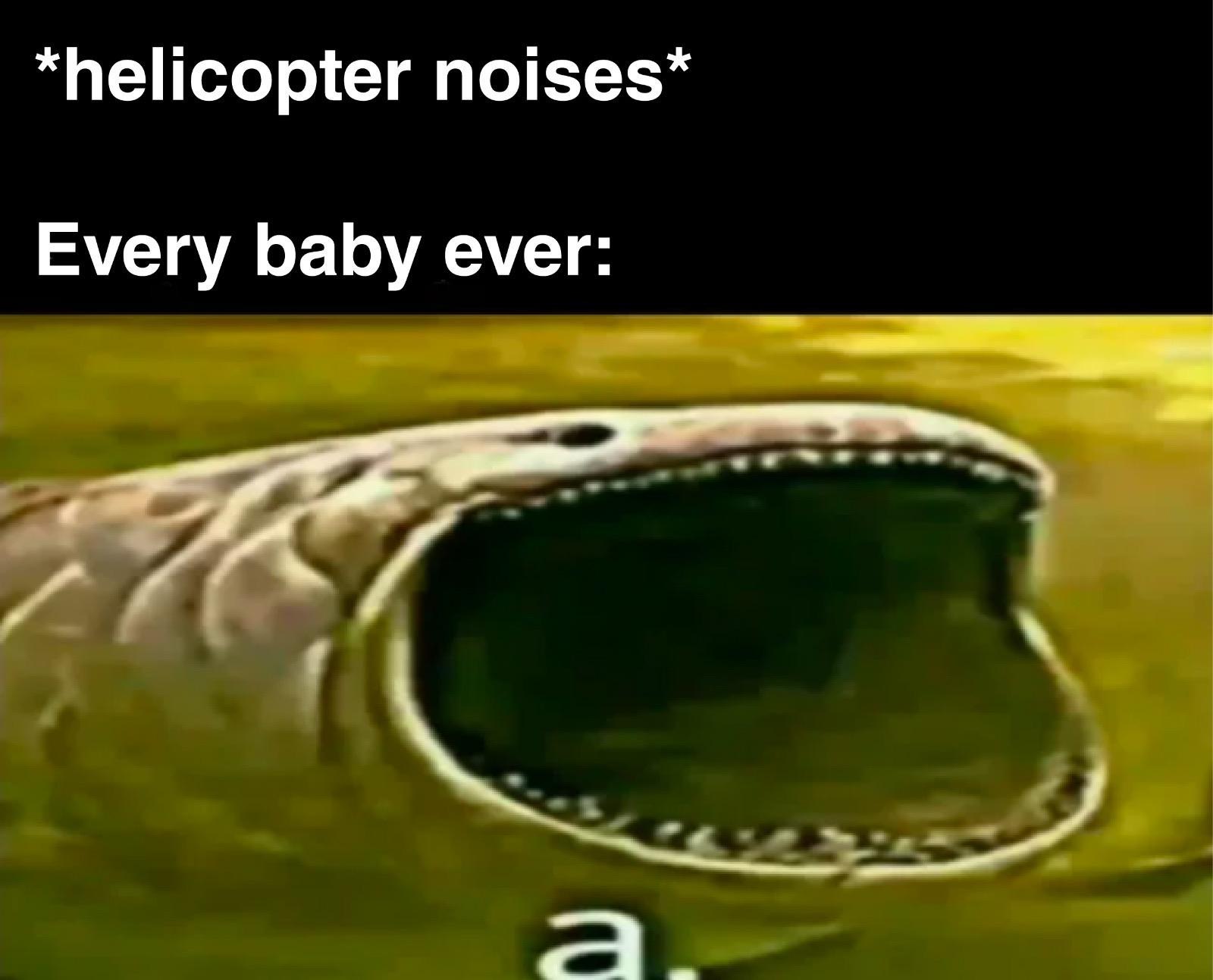 fauna - helicopter noises Every baby ever a.