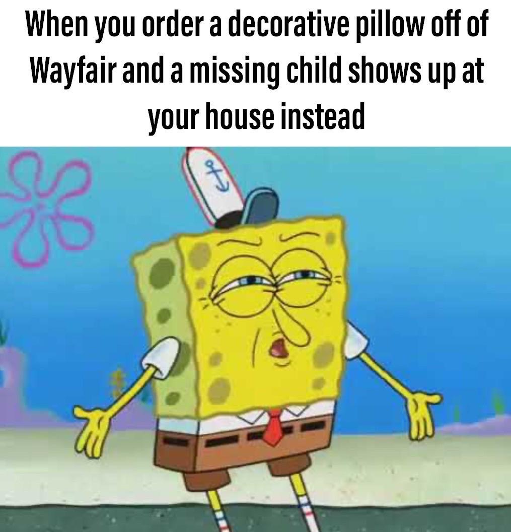 comeback roasts - When you order a decorative pillow off of Wayfair and a missing child shows up at your house instead