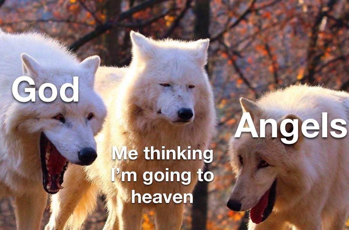 Humour - God Angels Me thinking I'm going to heaven