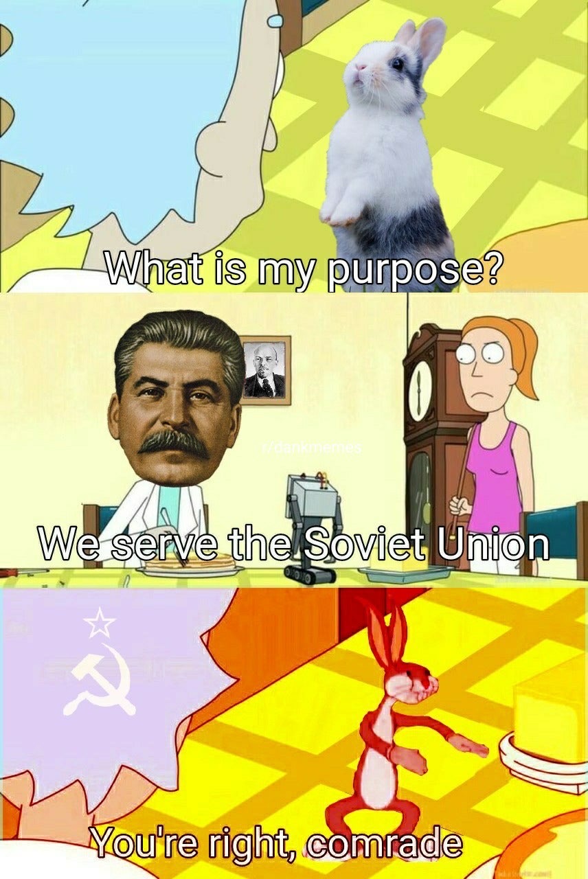 teamfight tactics meme - What is my purpose? We serve the Soviet Union a Menure tois, combie You're right.comrade