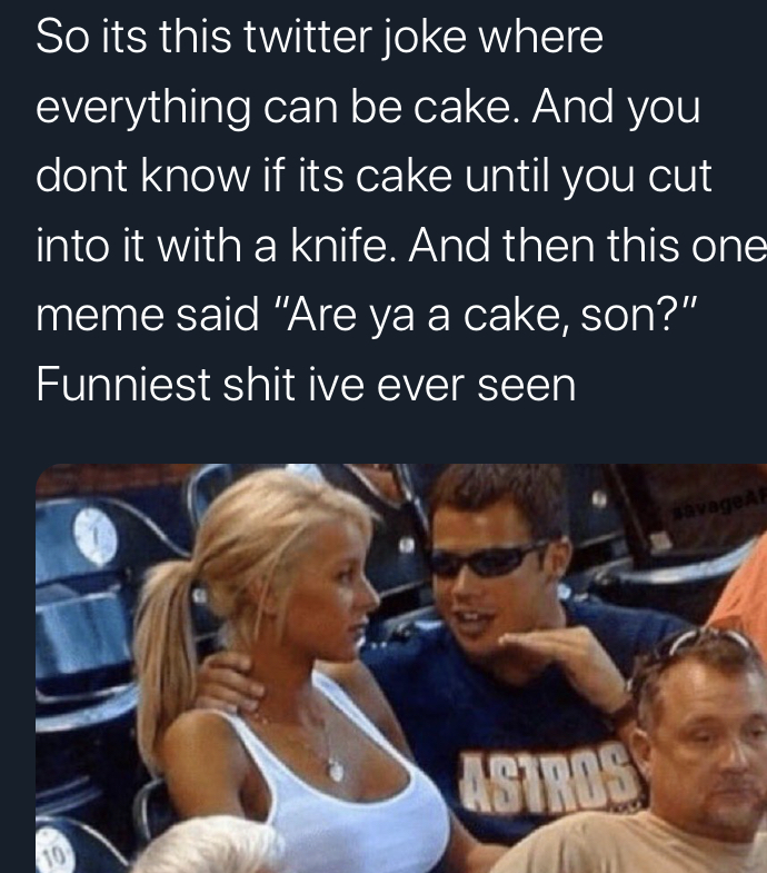 quarantine crafting memes - So its this twitter joke where everything can be cake. And you dont know if its cake until you cut into it with a knife. And then this one meme said "Are ya a cake, son?" Funniest shit ive ever seen Astros