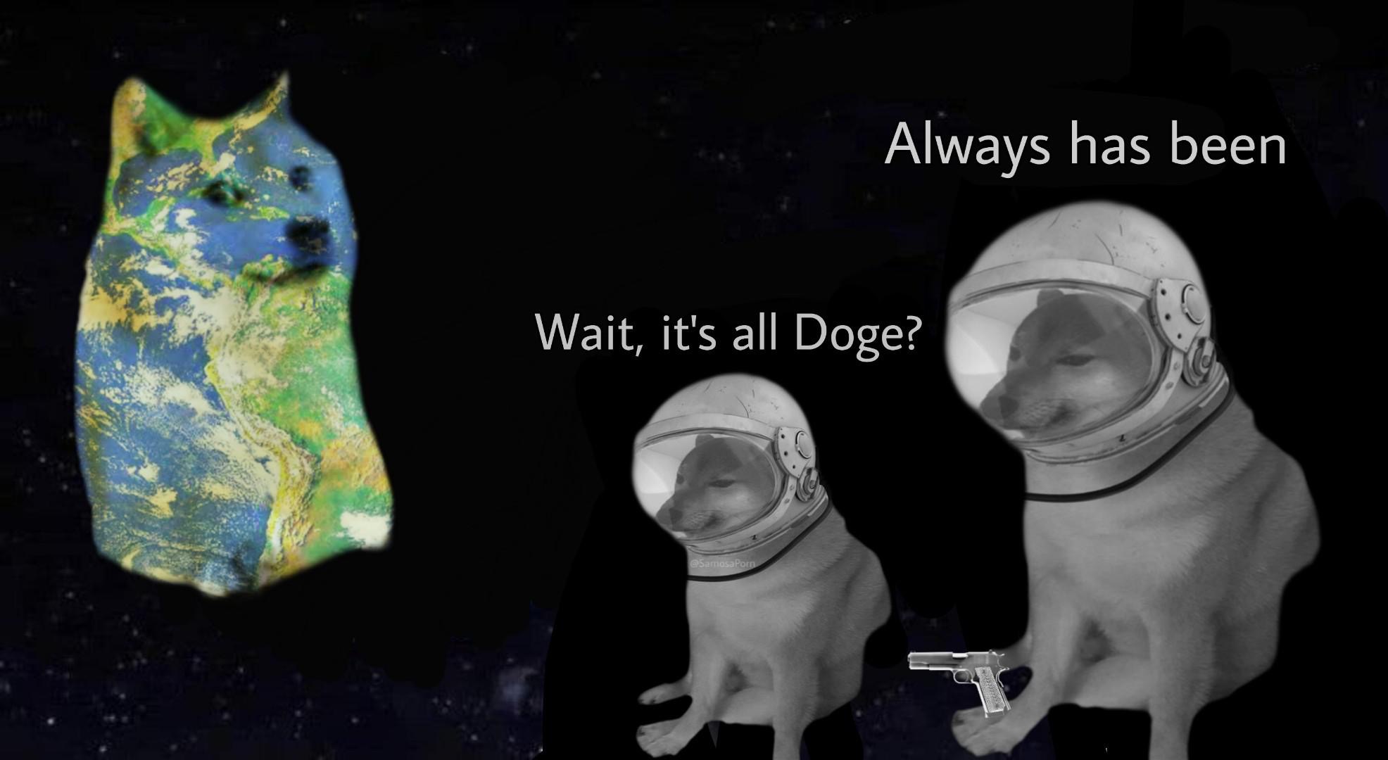 earth - Always has been Wait, it's all Doge? Samasa Porn
