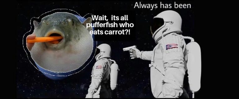 always has been meme - Always has been Wait, its all pufferfish who eats carrot?!