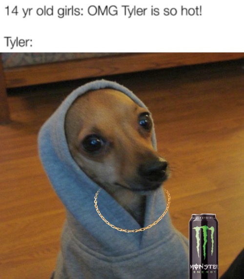 hugeplateofketchup8 -  snoop dogg dog meme - 14 yr old girls Omg Tyler is so hot! Tyler Iasi Monster Energy