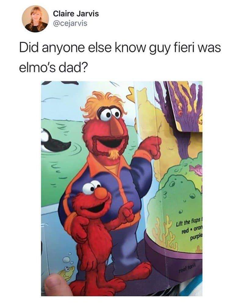dank memes - guy fieri memes - Claire Jarvis Did anyone else know guy fieri was elmo's dad? Lilt the flaps red oran purple before