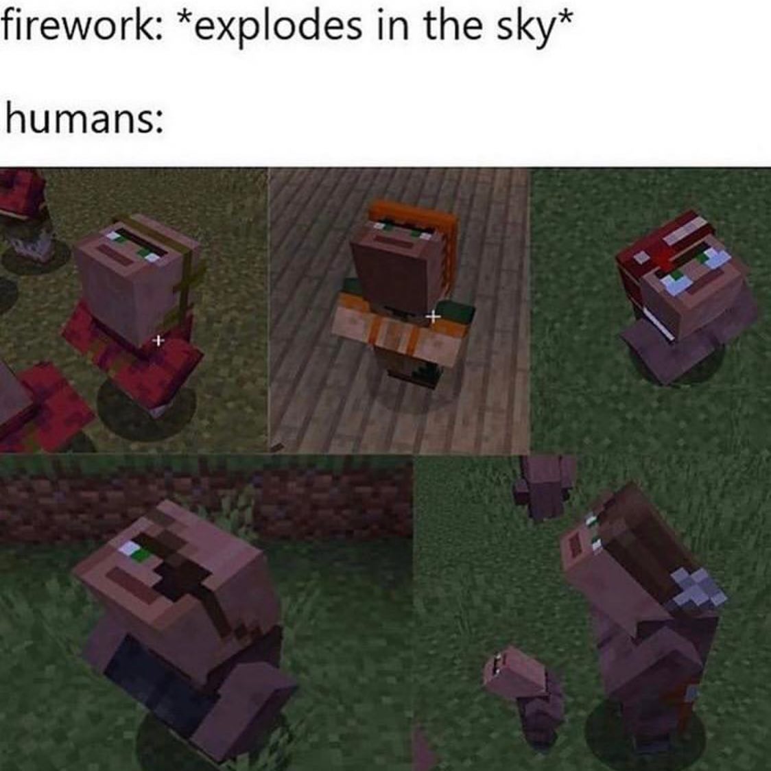 dank memes - biome - firework explodes in the sky humans